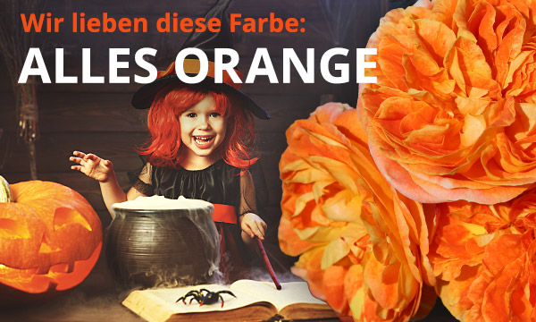 Wir lieben Orange